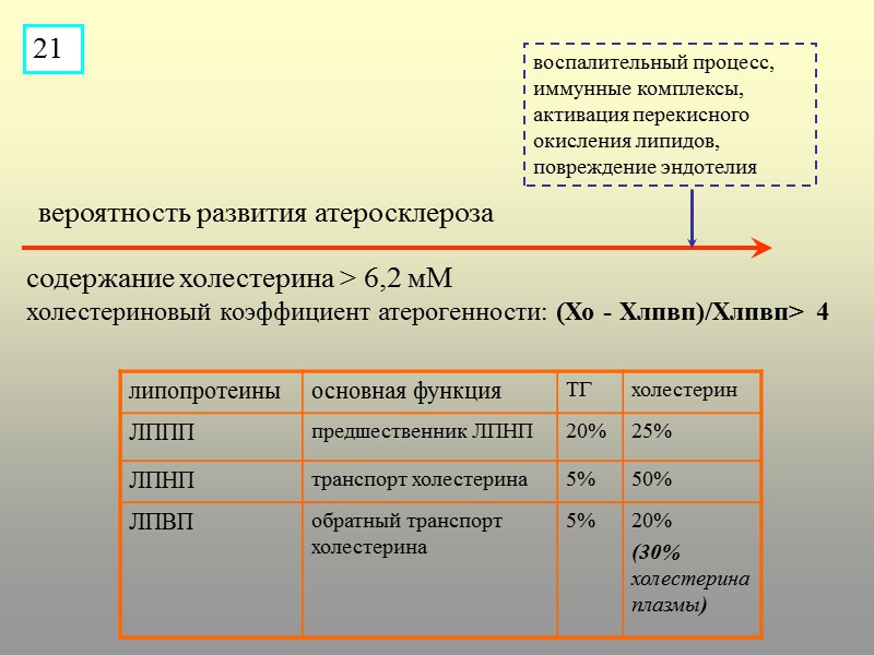 вероятность развития атеросклероза содержание холестерина > 6,2 мМ      